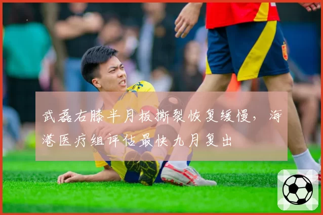 武磊右膝半月板撕裂恢复缓慢,海港医疗组评估最快九月复出