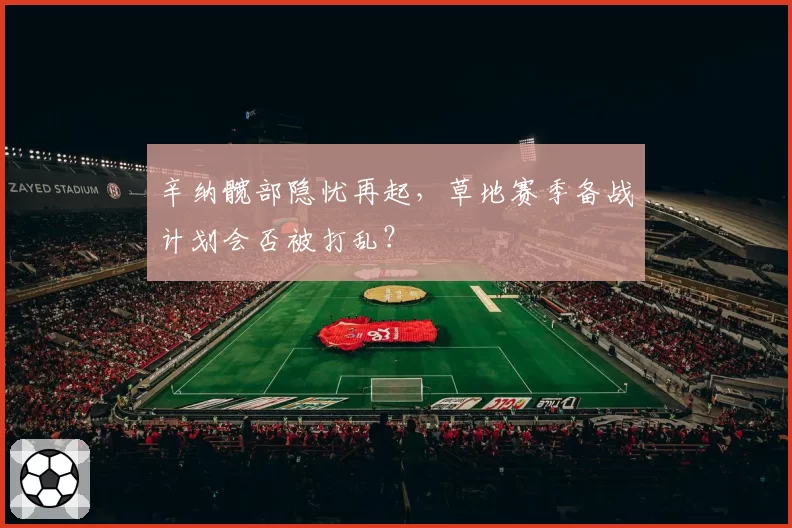 辛纳髋部隐忧再起，草地赛季备战计划会否被打乱？