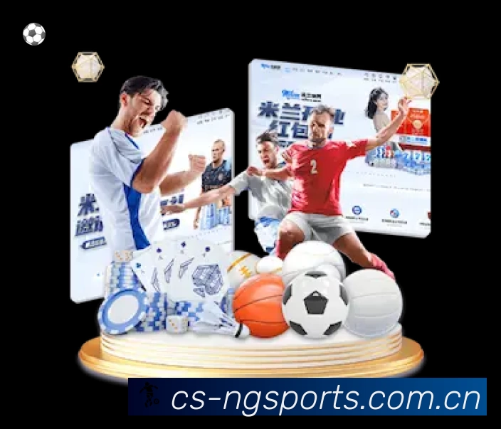 关于 NG体育